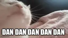 cat head tilt dan dan dan
