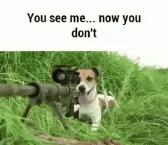 You see me... now you don't dog sniper