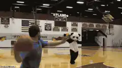 Panda mascot throws basketball at man