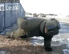 Soldier doing pushups in snow