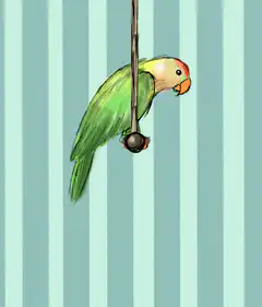 Green parrot hanging upside down