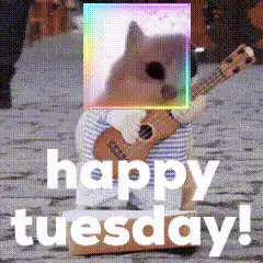 Happy Tuesday Dog with Ukulele