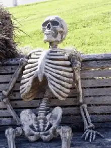 Skeleton sitting on a bench