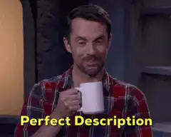 Perfect Description Mug Nod