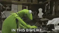 Kermit in this bih like