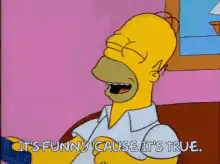 Homer Simpson laughing it's funny cause it's true