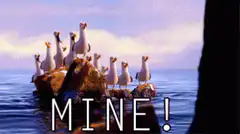 Seagulls on rock yelling MINE