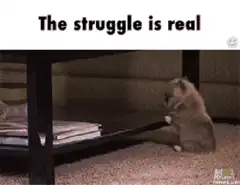 Struggling puppy under table