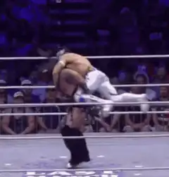 Wrestler performing a powerbomb