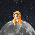 Shiba Inu in orange bear suit on moon