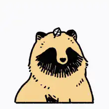 Raccoon with a leaf on its head