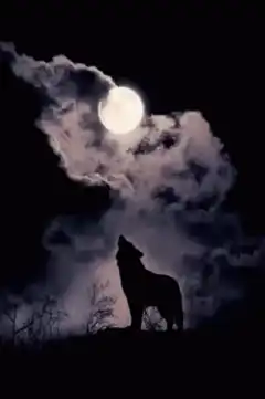 wolf howling at the moon