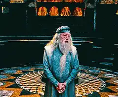 Dumbledore shrugs and puts hands on hips