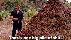 That is one big pile of shit
