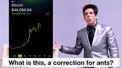 Ben Stiller Bitcoin Correction for Ants