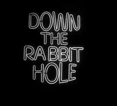 Down the Rabbit Hole Neon Sign
