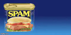 SPAM Space Processed Alien Meat