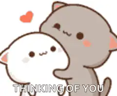 Two cute cats hugging with heart