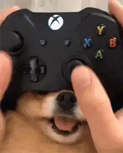 dog playing xbox controller