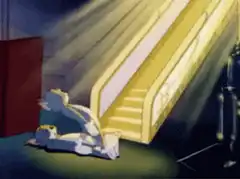 Tom goes to heaven