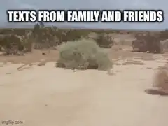 Tumbleweed rolling across desert
