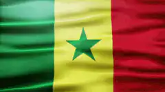 Senegal flag waving