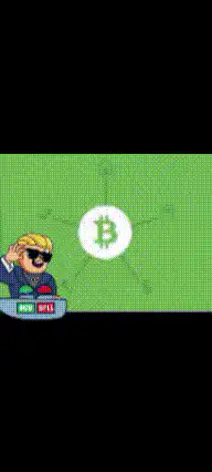 Pixel Art Bitcoin Guy