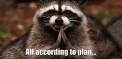 Raccoon praying with text