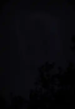Lightning strike over trees at night