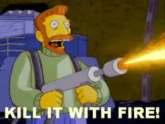 Lenny Kill It With Fire