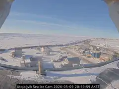 Utqiagvik Sea Ice Cam sunrise