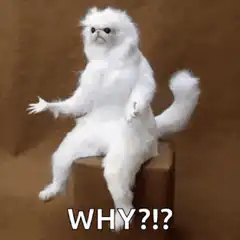 White Cat Why