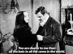 You are dearer to me than all the bats