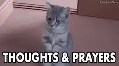 Praying Cat Thoughts and Prayers