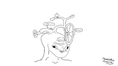 Bicycle on head ding ding