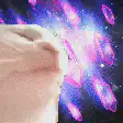 cat looking at space crystals
