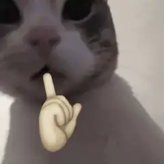 Cat with middle finger emoji