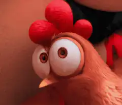 Chicken eyes bulge then droop