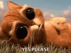 Big eyed cat yes please