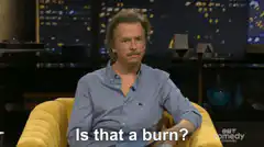 Gary Oldman Is that a burn