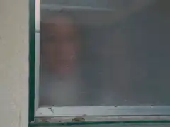 Man Peeking Through Window Screen