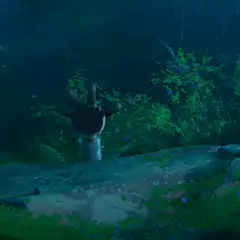 Wall-E and Eve in the forest
