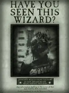 Have You Seen This Wizard