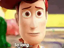 Woody says so long partner