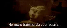 Yoda No More Training