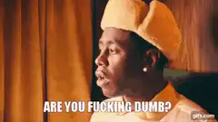 Tyler The Creator Are You Fucking Dumb