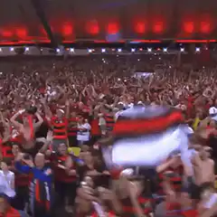crowd waving large flag in stadium