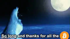 Dolphin jumping into the moon