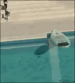 Deal with it cat surfing