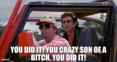 You Did It You Crazy Son of a Bitch